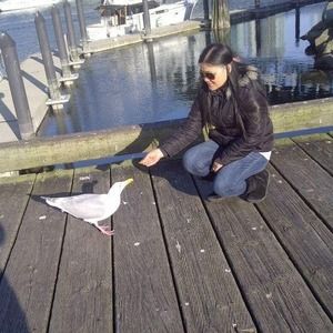 Meet your Posher, Wilma